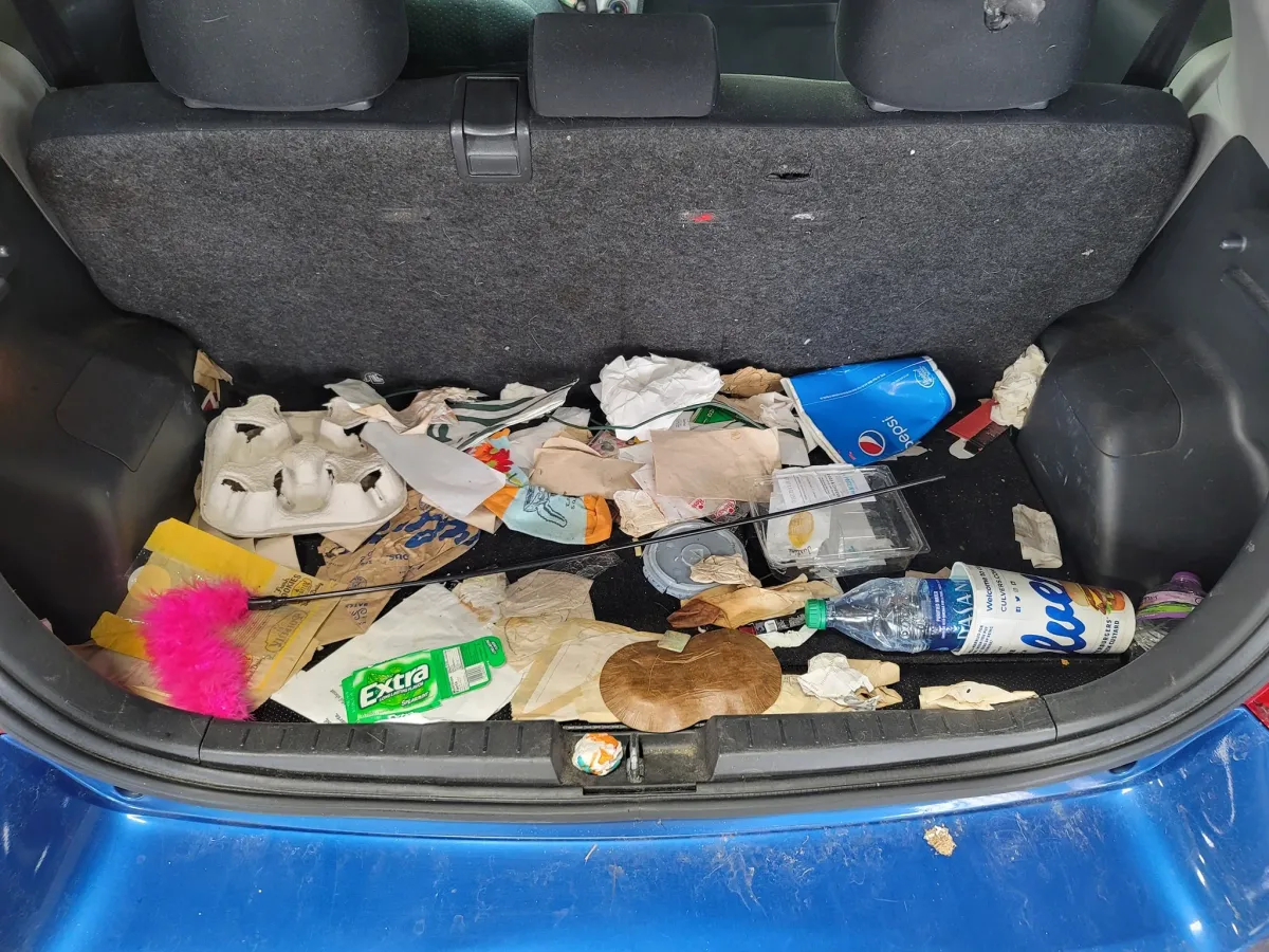 Interior Deep Clean — before detailing